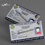 Andhra Pradesh Employee Health ID PVC Card  Printing